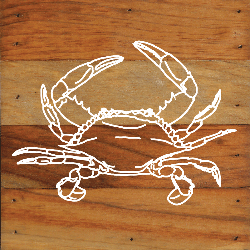 Nautical Beach Undersea Creatures Art Print Wall Hanging