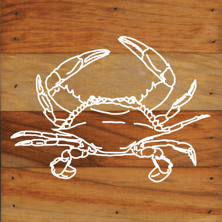 Nautical Beach Undersea Creatures Art Print Wall Hanging