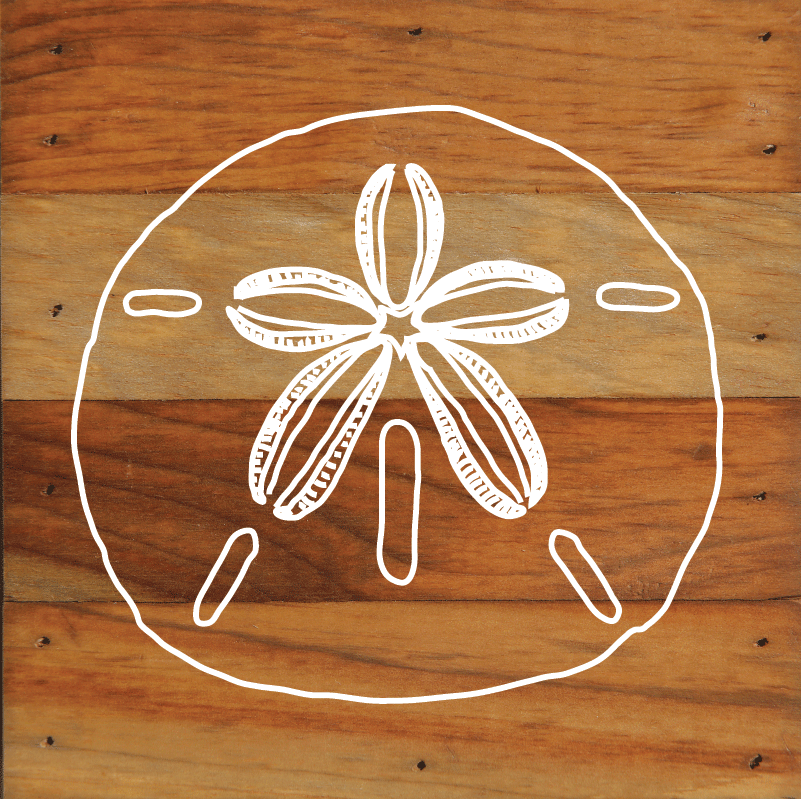 Nautical Beach Undersea Creatures Art Print Wall Hanging