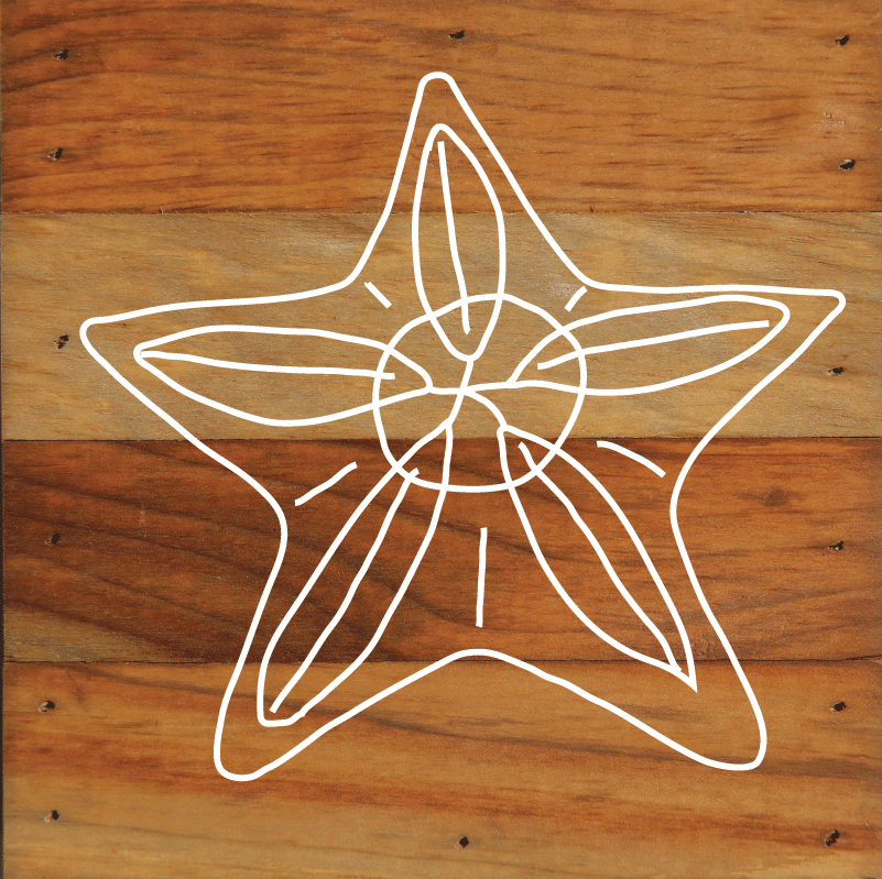 Nautical Beach Undersea Creatures Art Print Wall Hanging