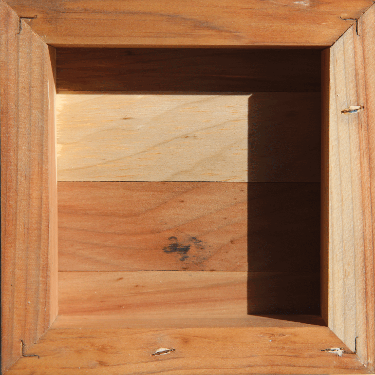 Nautical Beach Undersea Creatures Art Print Wall Hanging