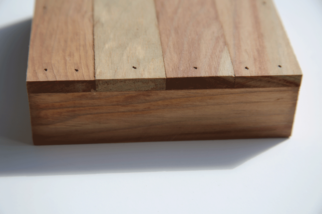 Nautical Beach Undersea Creatures Art Print Wall Hanging