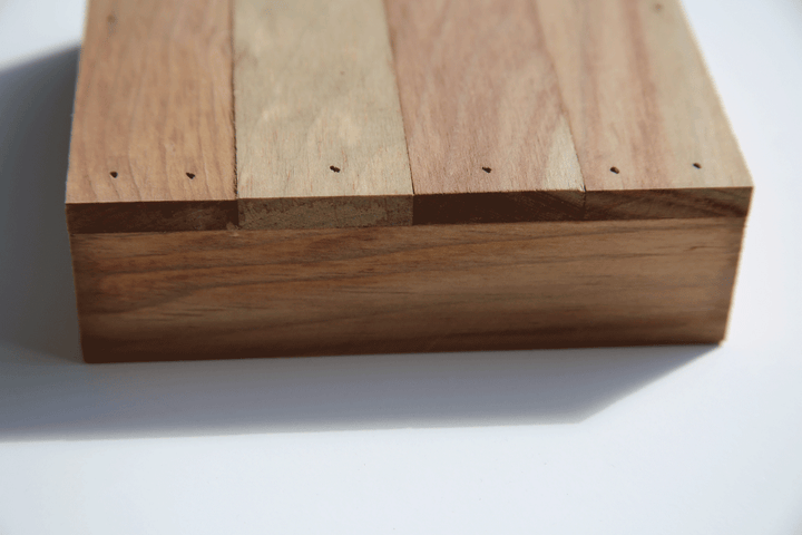 Nautical Beach Undersea Creatures Art Print Wall Hanging