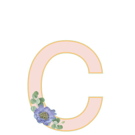 10 in Floral Pink Letter Decals From A to Z Upper and Lower Case