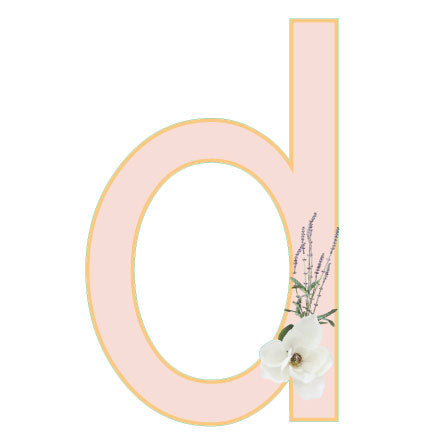 10 in Floral Pink Letter Decals From A to Z Upper and Lower Case