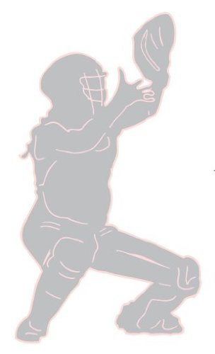 Softball Catcher Wall Decals/Sports Wall Stickers in Grey with Pink