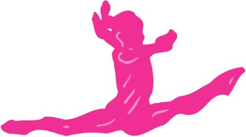 Pink Gymnast Wall Decal / Stickers