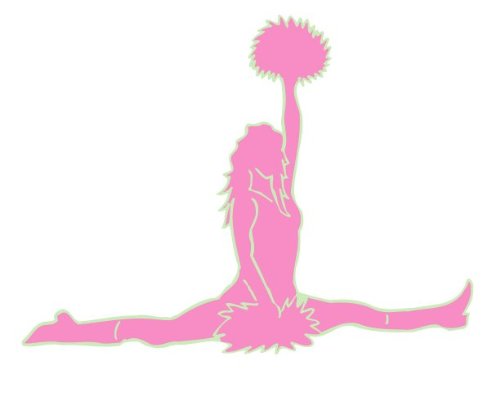 Pink and Mint Green Cheerleader Silhouette Split Wall Decal Stickers / Decals