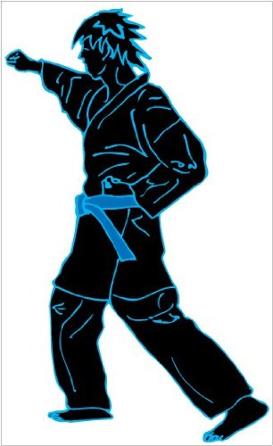 Karate Removable Wall Decals Stickers in Black with Blue
