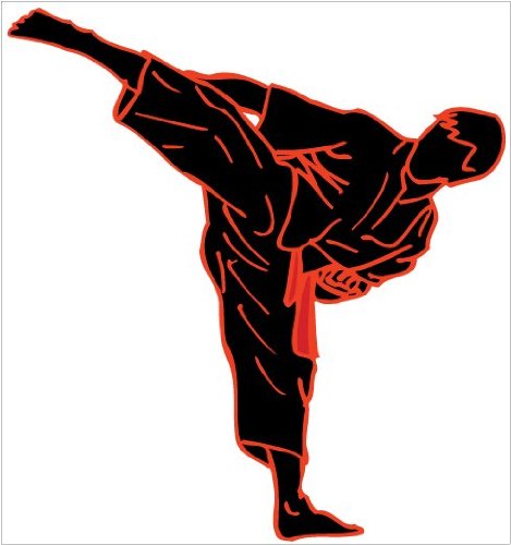 Karate Wall Decals