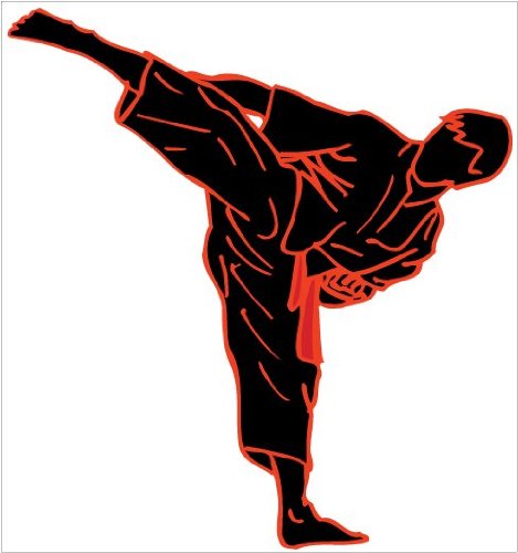 Karate Removable Wall Decals Stickers in Black with Red and Orange