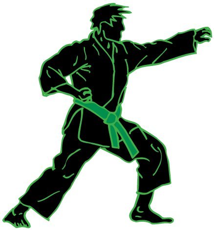 Karate Removable Wall Decals Stickers in Black with Green