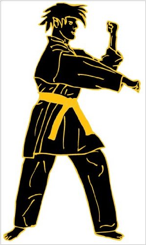 Karate Removable Wall Decals Stickers in Black with Yellow