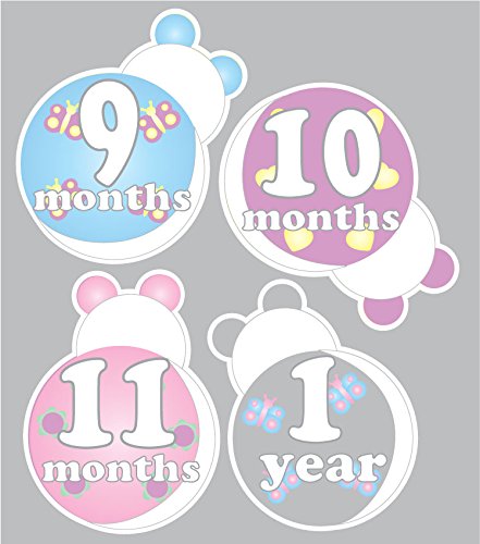 Ladybug Baby Monthly Milestone Wall Decals