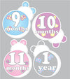 Ladybug Baby Milestone Stickers/Set of 12 (1-12) Monthly Milestone Stickers/Ladybug Baby Shower Gift