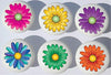 Gerber Daisy Flower Drawer Pulls / Ceramic Cabinet Knobs