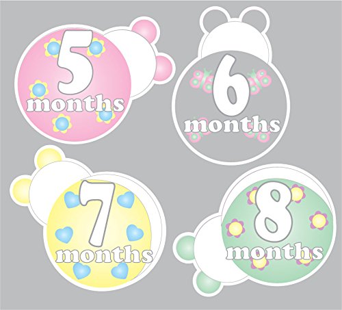 Ladybug Baby Monthly Milestone Wall Decals