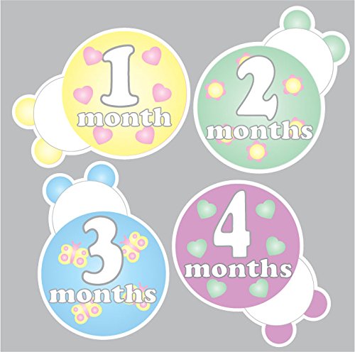 Ladybug Baby Monthly Milestone Wall Decals