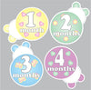 Ladybug Baby Milestone Stickers/Set of 12 (1-12) Monthly Milestone Stickers/Ladybug Baby Shower Gift