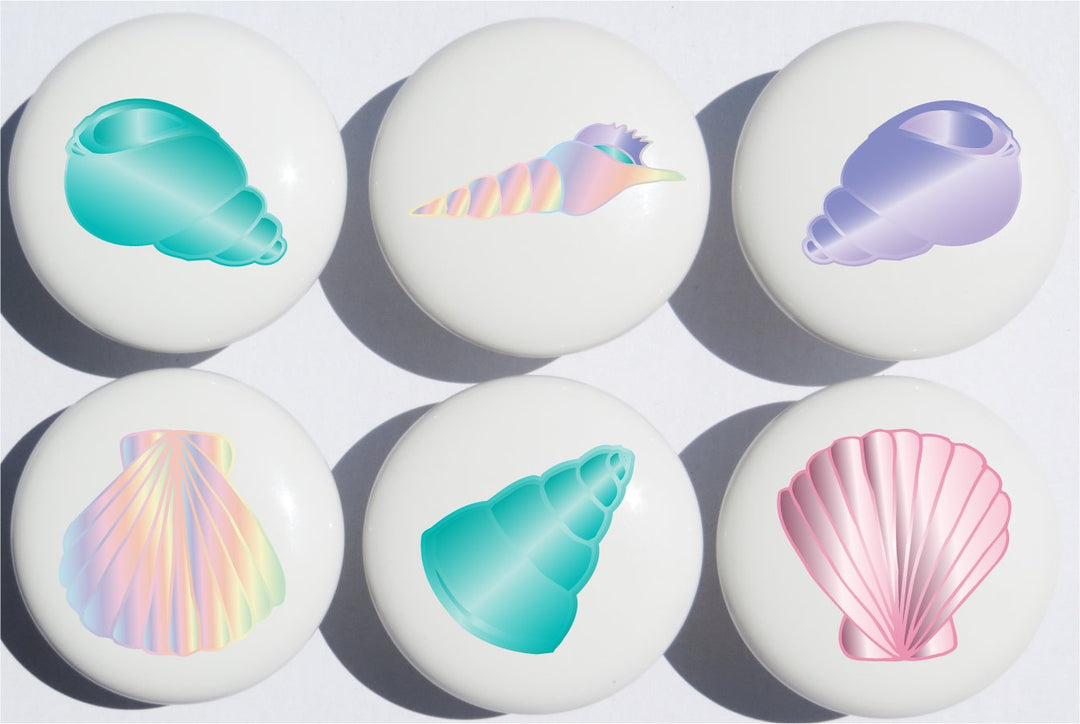 Sea Shell Drawer Pulls