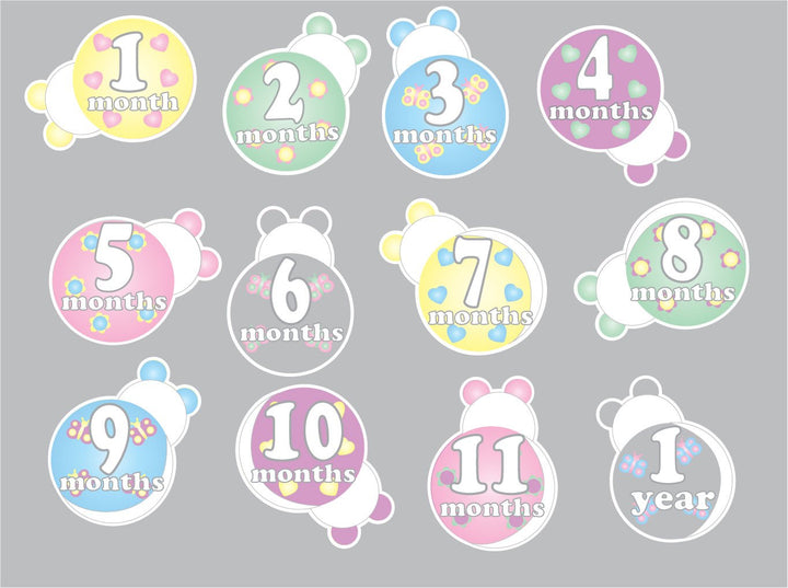 Ladybug Baby Monthly Milestone Wall Decals
