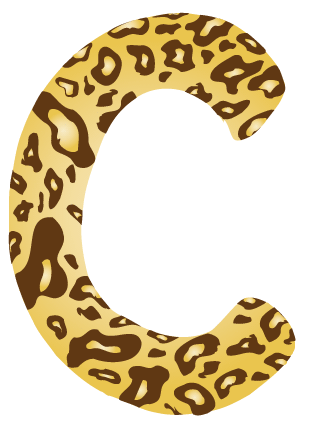 10in. Brown Leopard Animal Print Letter Decals Stickers from A to Z