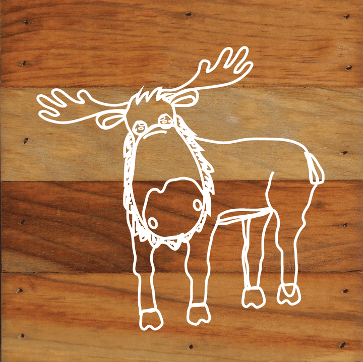 Woodland Forest Animals Rustic Wall Hanging