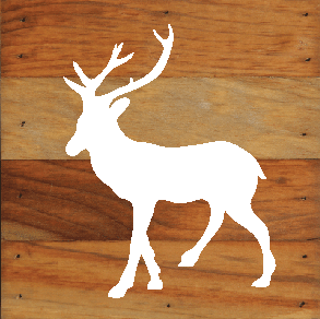 Woodland Deer silhouette Chalk White on a 6 x 6 Rustic Aged Natural Wood Pallet