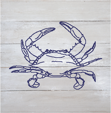 Nautical Prints Natural Wall Hanging Wall Hanging